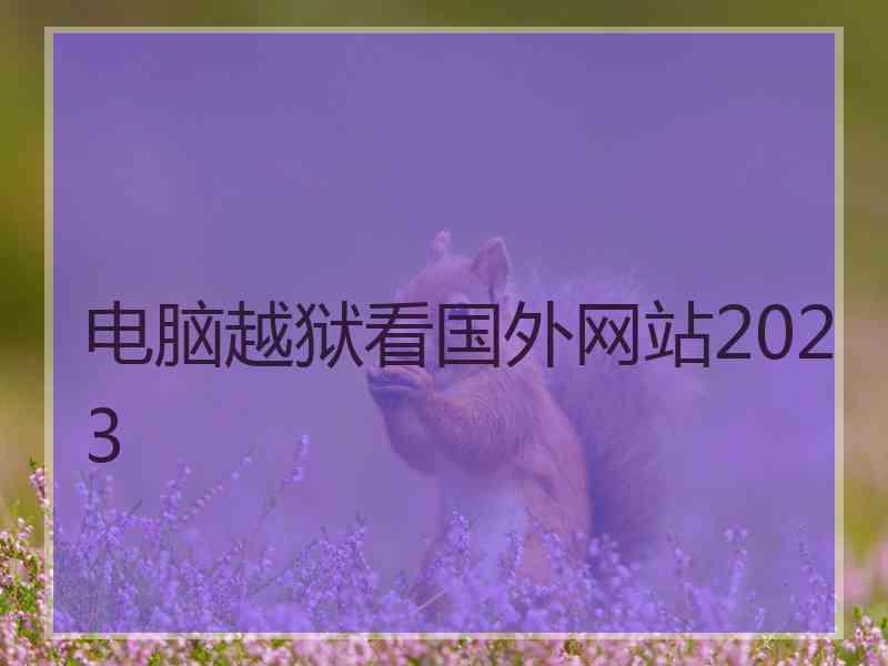 电脑越狱看国外网站2023