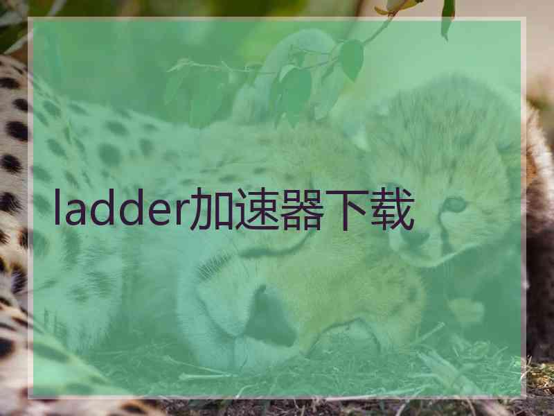 ladder加速器下载