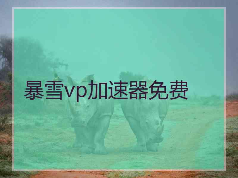 暴雪vp加速器免费