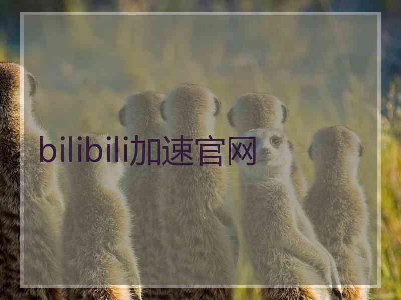 bilibili加速官网