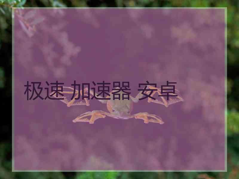 极速 加速器 安卓