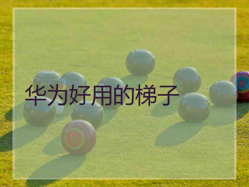 华为好用的梯子