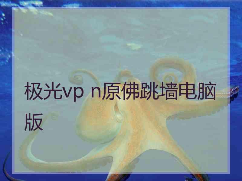 极光vp n原佛跳墙电脑版