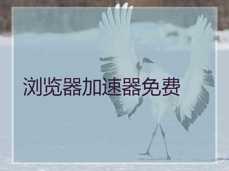 浏览器加速器免费