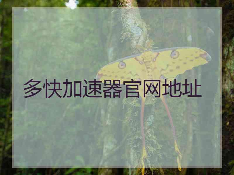 多快加速器官网地址