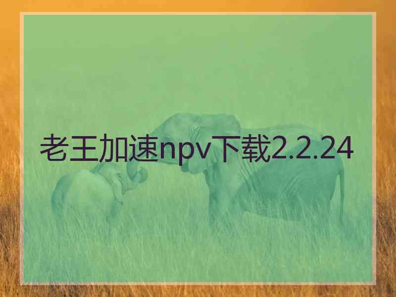 老王加速npv下载2.2.24