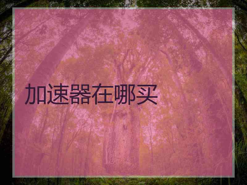 加速器在哪买