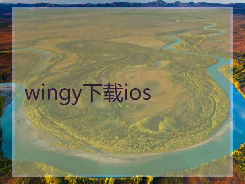 wingy下载ios