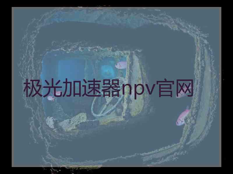 极光加速器npv官网