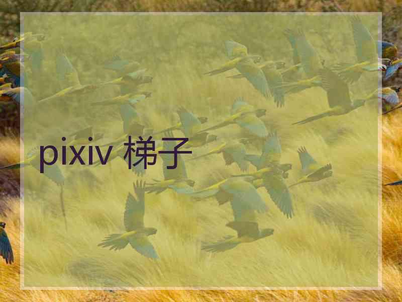 pixiv 梯子