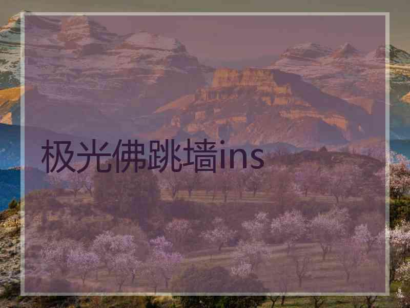 极光佛跳墙ins