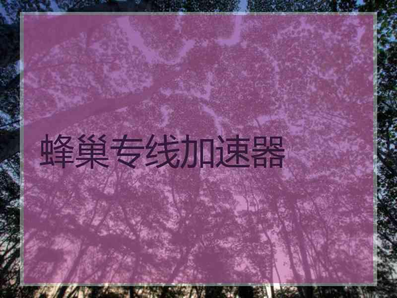 蜂巢专线加速器