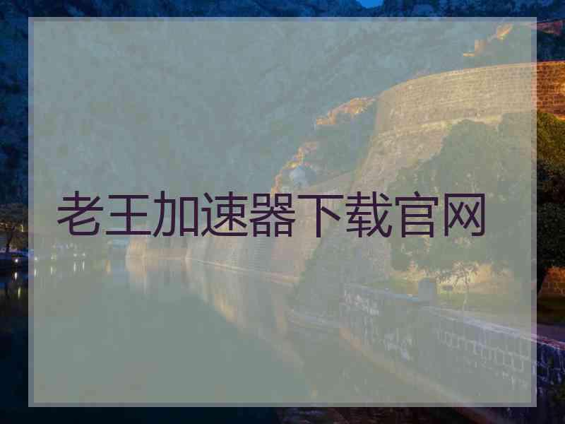 老王加速器下载官网