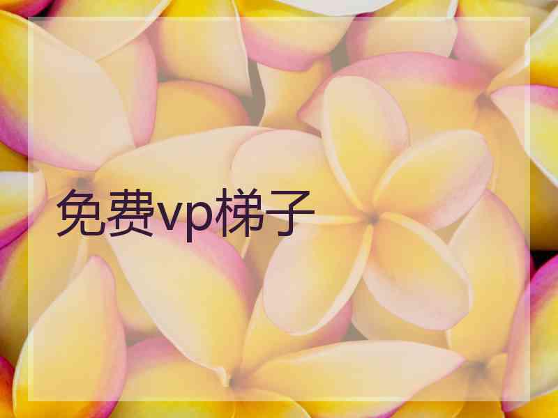 免费vp梯子