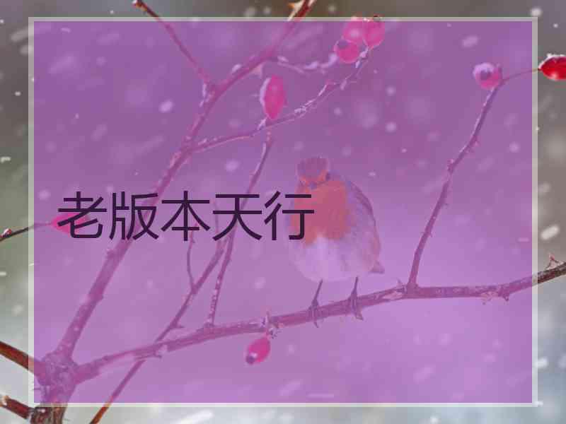 老版本天行