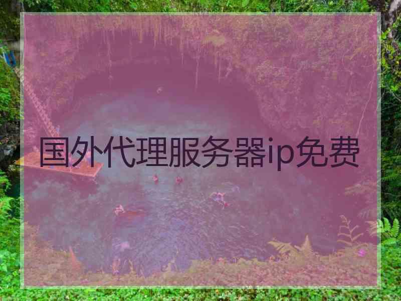 国外代理服务器ip免费