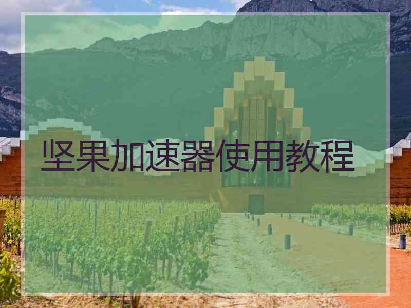 坚果加速器使用教程
