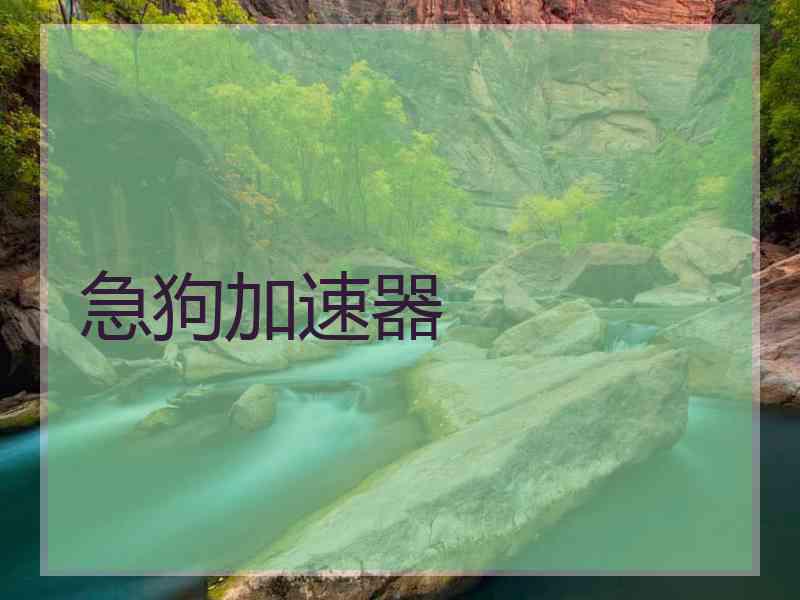急狗加速器