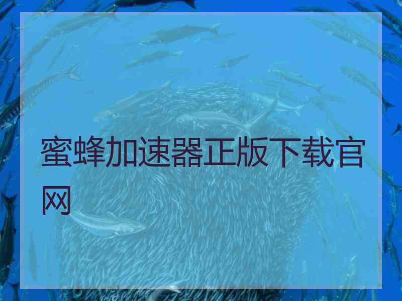 蜜蜂加速器正版下载官网