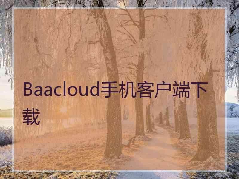 Baacloud手机客户端下载