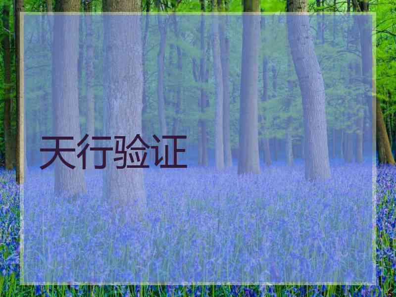 天行验证