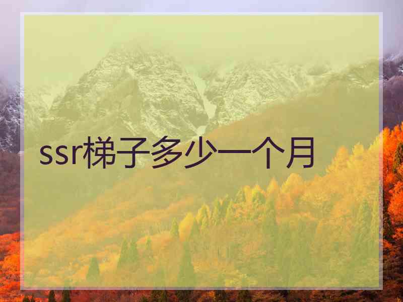 ssr梯子多少一个月