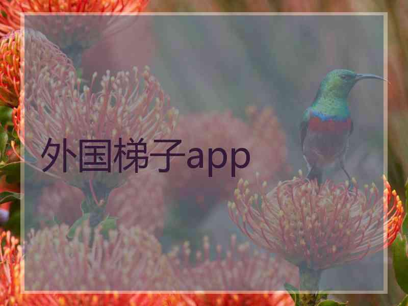 外国梯子app