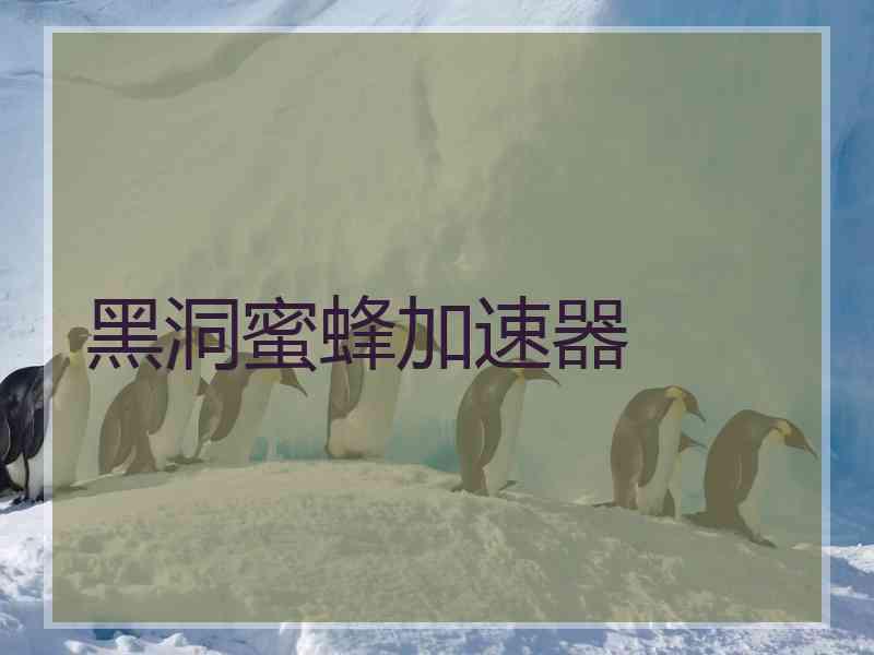 黑洞蜜蜂加速器