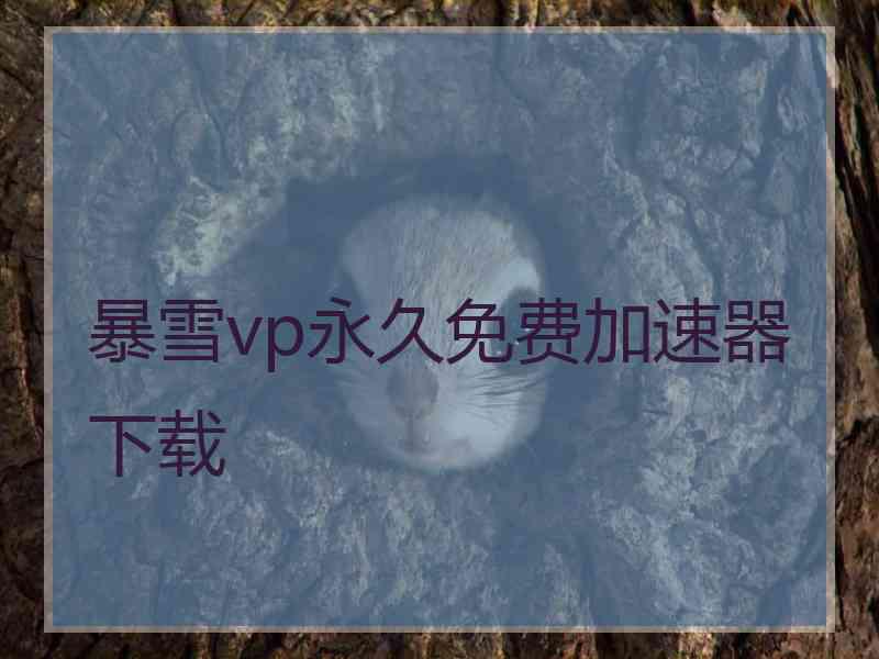 暴雪vp永久免费加速器下载