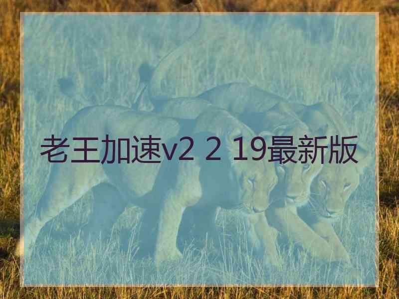 老王加速v2 2 19最新版