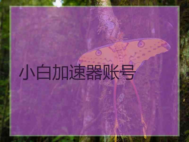 小白加速器账号