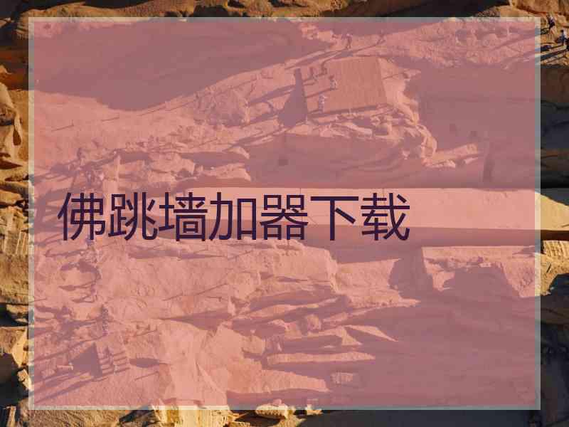 佛跳墙加器下载