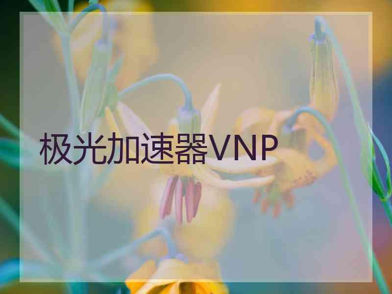 极光加速器VNP