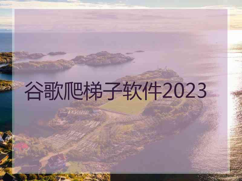 谷歌爬梯子软件2023