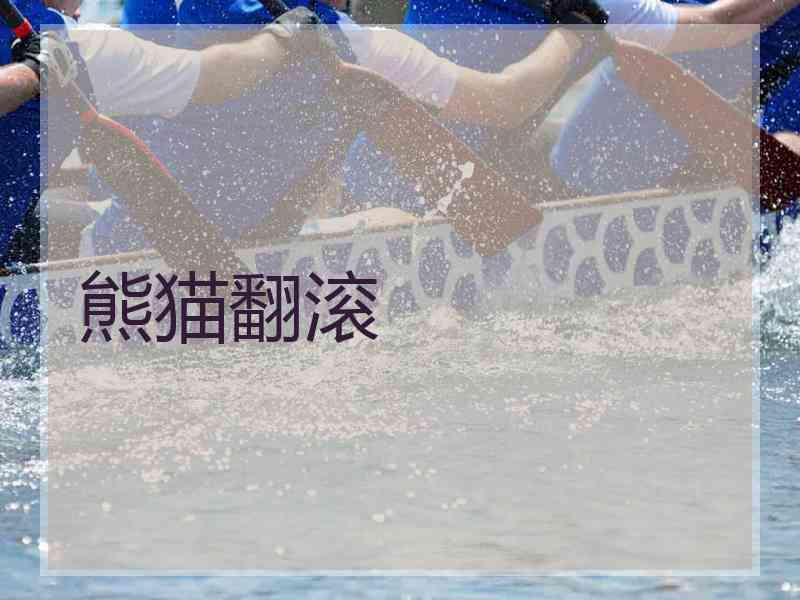 熊猫翻滚