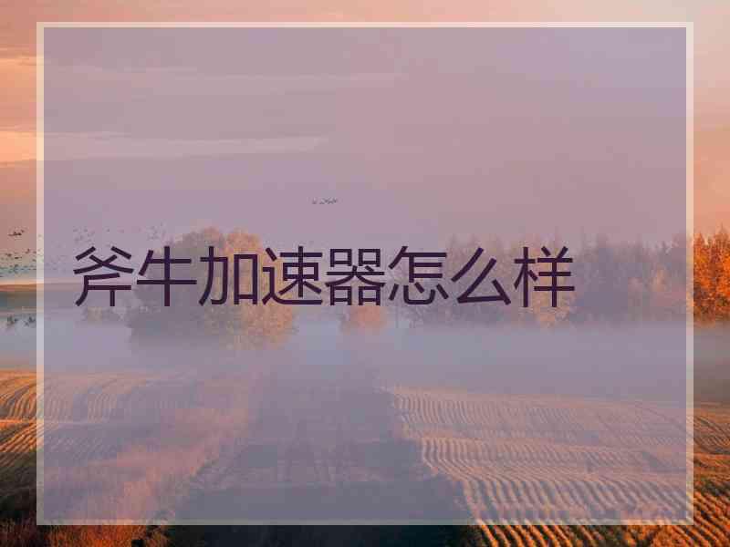 斧牛加速器怎么样