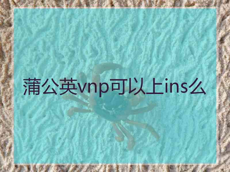 蒲公英vnp可以上ins么