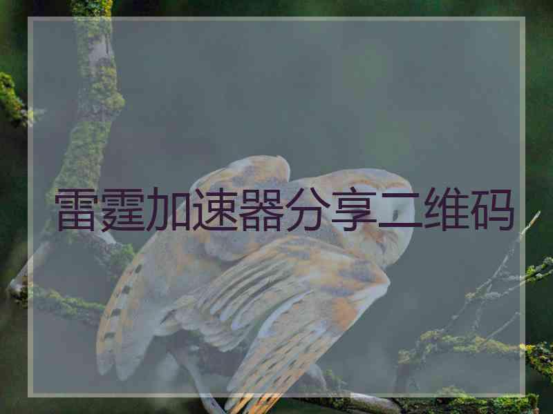 雷霆加速器分享二维码