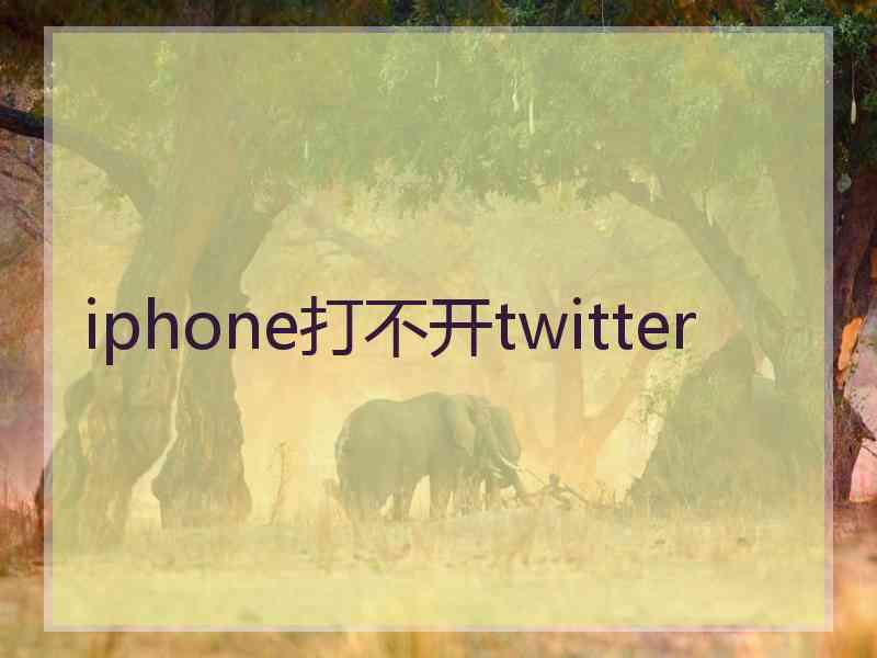 iphone打不开twitter
