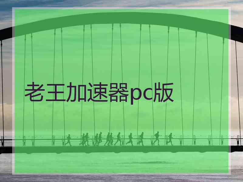 老王加速器pc版