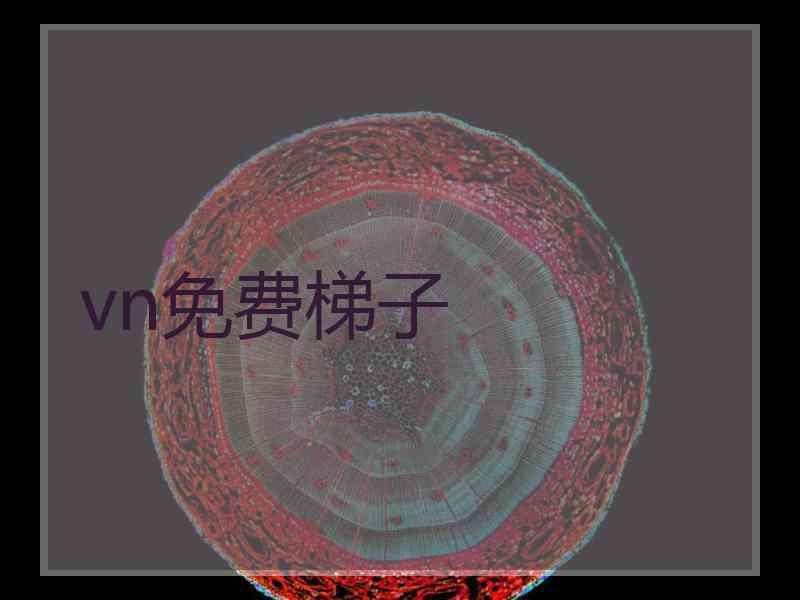 vn免费梯子