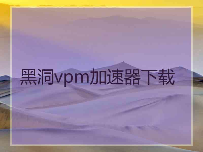 黑洞vpm加速器下载