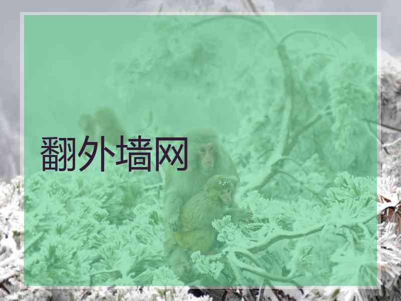 翻外墙网