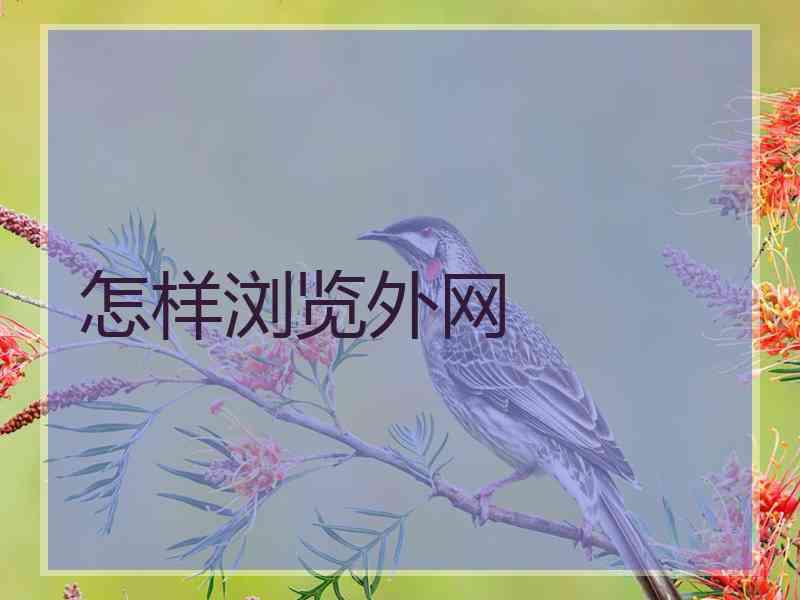 怎样浏览外网