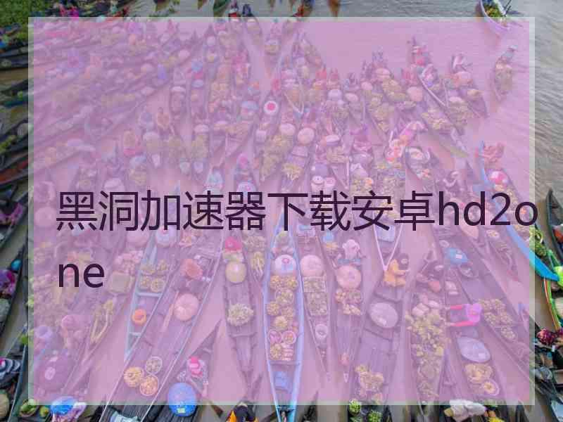 黑洞加速器下载安卓hd2one