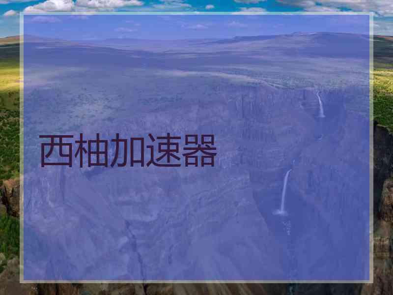 西柚加速器
