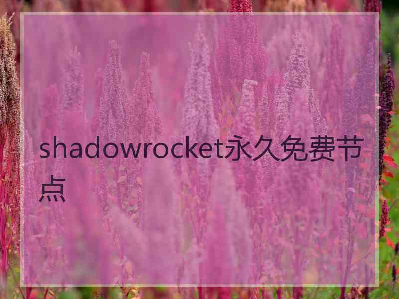 shadowrocket永久免费节点
