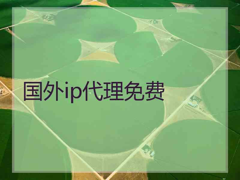 国外ip代理免费