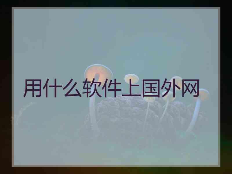 用什么软件上国外网