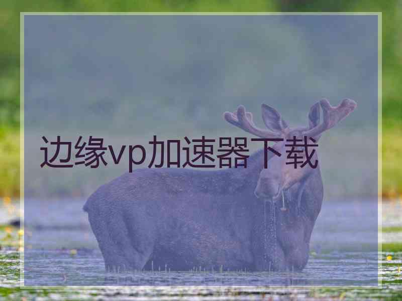 边缘vp加速器下载